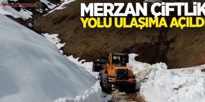 Merzan çiftlik yolu ulaşıma açıldı