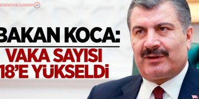 Sağlık Bakanı Koca: Vaka sayısı 18'e yükseldi