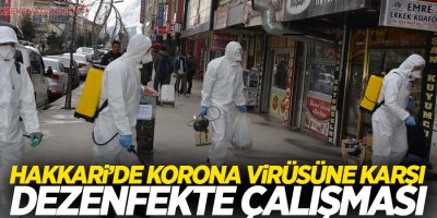 Hakkari’de korona virüsüne karşı dezenfekte çalışması