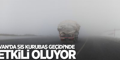 Van’da Sis Kurubaş Geçidi’nde etkili oluyor