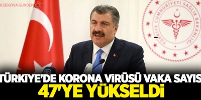 Türkiye'de korona virüsü vaka sayısı 47'ye yükseldi