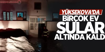 Yüksekova’da birçok ev sular altında kaldı