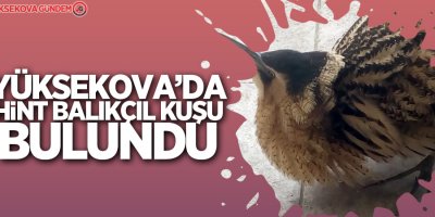 Yüksekova’da Hint balıkçıl kuşu bulundu