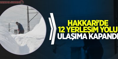 Hakkari'de 12 yerleşim yolu ulaşıma kapandı