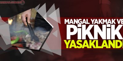 Mangal yakmak ve piknik yasaklandı