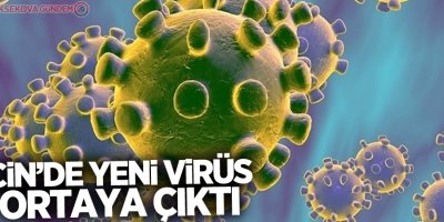 Çin'de yeni virüs: Hanta