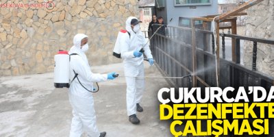 Çukurca’da dezenfekte çalışması
