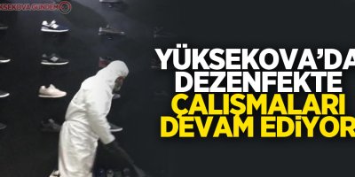 Yüksekova’da dezenfekte çalışmaları devam ediyor