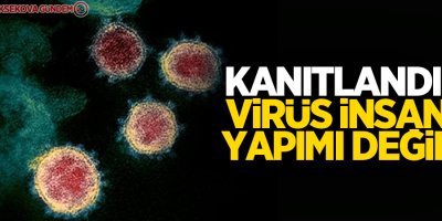 Kanıtlandı: Virüs insan yapımı değil