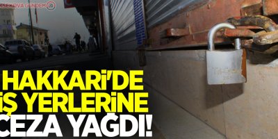 Hakkari'de işyerlerine ceza yağdı