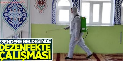 Esendere beldesinde dezenfekte çalışması