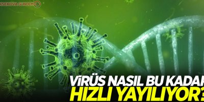 Virüs nasıl bu kadar hızlı yayılıyor?