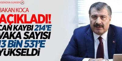 Can kaybı 214'e; vaka sayısı 13 bin 531'e yükseldi