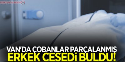Van'da çobanlar parçalanmış erkek cesedi buldu!