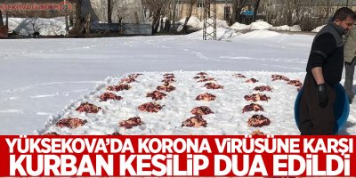 Yüksekova’da korona virüsüne karşı kurban kesilip dua edildi