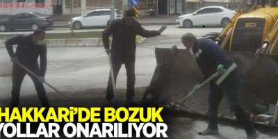 Hakkari’de bozuk yollar onarılıyor