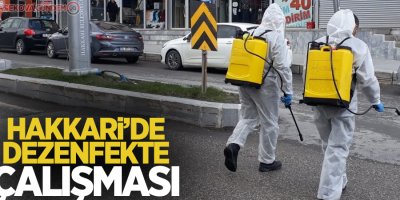 Hakkari’de dezenfekte çalışmaları sürüyor