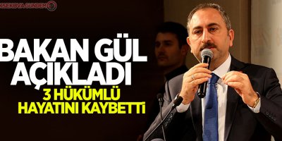 Adalet Bakanı Gül'den önemli açıklamalar!