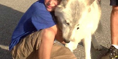 Köpeği öldürüp oğlunun parmağını çıkardı