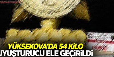 Yüksekova'da 54 kilo uyuşturucu ele geçirildi