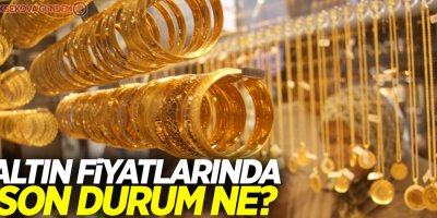 Altın rekor yükselişini sürdürüyor