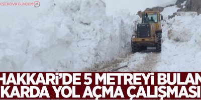 Hakkari’de 5 metreyi bulan karda yol açma çalışması