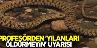 Profesörden 'yılanları öldürmeyin' uyarısı