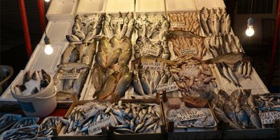 Balık sezonu kapandı ama fiyatlar artmadı