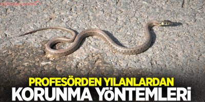 Profesörden yılanlardan korunma yöntemleri