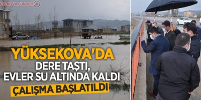 Yüksekova'da dere taştı, evler su altında kaldı