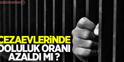 Cezaevlerinde doluluk oranı azaldı mı?