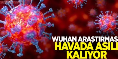 Wuhan araştırması: Havada asılı kalıyor