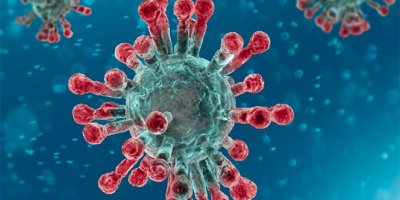 Azerbaycan'da sınırlarda uygulanan kısıtlamalar 31 Mayıs'a kadar uzatıldı