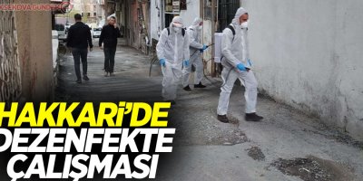 Hakkari'de dezenfekte çalışması