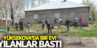 Yüksekova'da bir evi yılanlar bastı