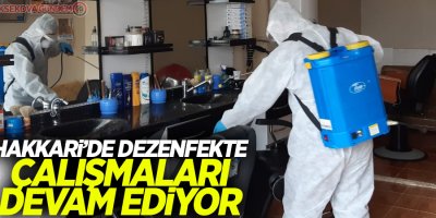 Hakkari’de dezenfekte çalışmaları sürüyor