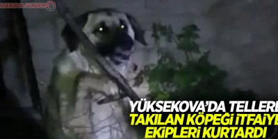 Yüksekova’da tellere takılan köpeği itfaiye ekipleri kurtardı