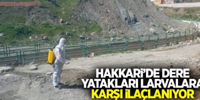 Hakkari’de dere yatakları larvalara karşı ilaçlanıyor