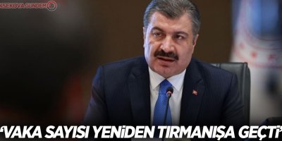 Vaka sayısı yeniden tırmanışa geçti