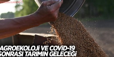 Agroekoloji ve Covid-19 sonrası tarımın geleceği