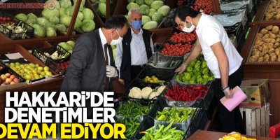 Hakkari'de denetimler devam ediyor