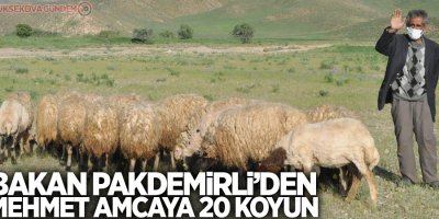 Bakan Pakdemirli'den Mehmet amcaya 20 koyun