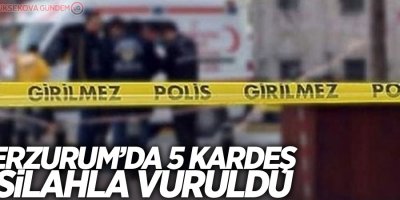 Erzurum'da 5 kardeş silahla vuruldu