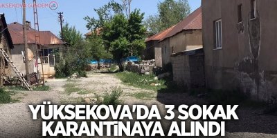 Yüksekova'da 3 sokak karantinaya alındı