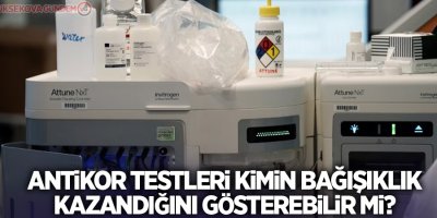 Antikor testleri kimin bağışıklık kazandığını gösterebilir mi?
