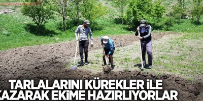Tarlalarını kürekler ile kazarak ekime hazırlıyorlar