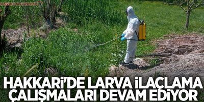 Hakkari'de larva ilaçlama çalışmaları sürüyor