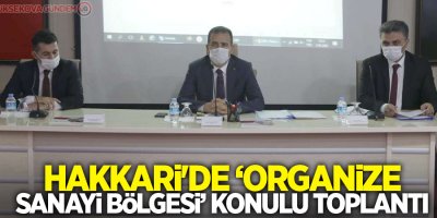 Hakkari'de ‘organize sanayi bölgesi’ konulu toplantı