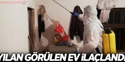 Yılan görülen ev ilaçlandı