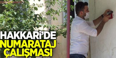 Hakkari’de numarataj çalışması